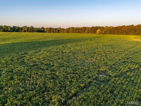 Tiny photo for 00 Highway V Highway, Vandalia, MO 63382 (MLS # 25067398)