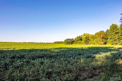 Tiny photo for 00 Highway V Highway, Vandalia, MO 63382 (MLS # 25067398)