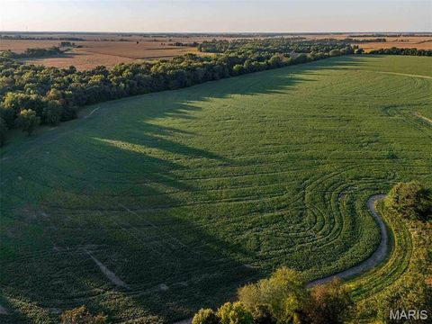 Tiny photo for 00 Highway V Highway, Vandalia, MO 63382 (MLS # 25067398)