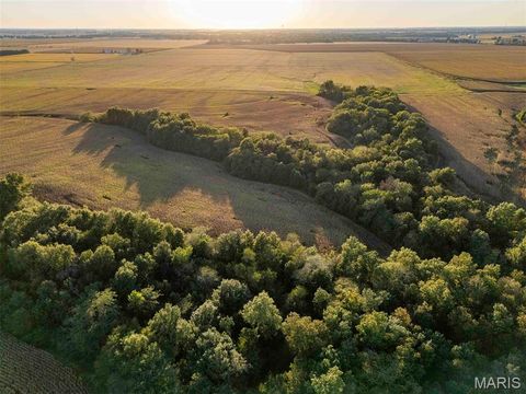 Tiny photo for 00 Highway V Highway, Vandalia, MO 63382 (MLS # 25067398)