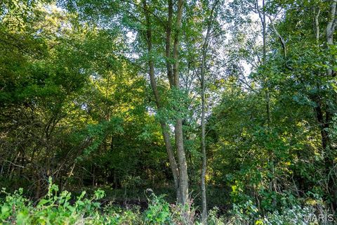 Tiny photo for 00 Highway V Highway, Vandalia, MO 63382 (MLS # 25067398)