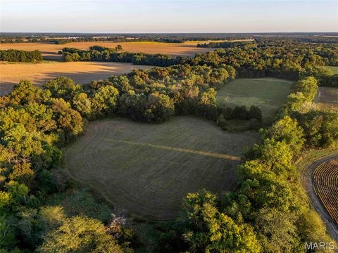 Tiny photo for 00 Highway V Highway, Vandalia, MO 63382 (MLS # 25067398)