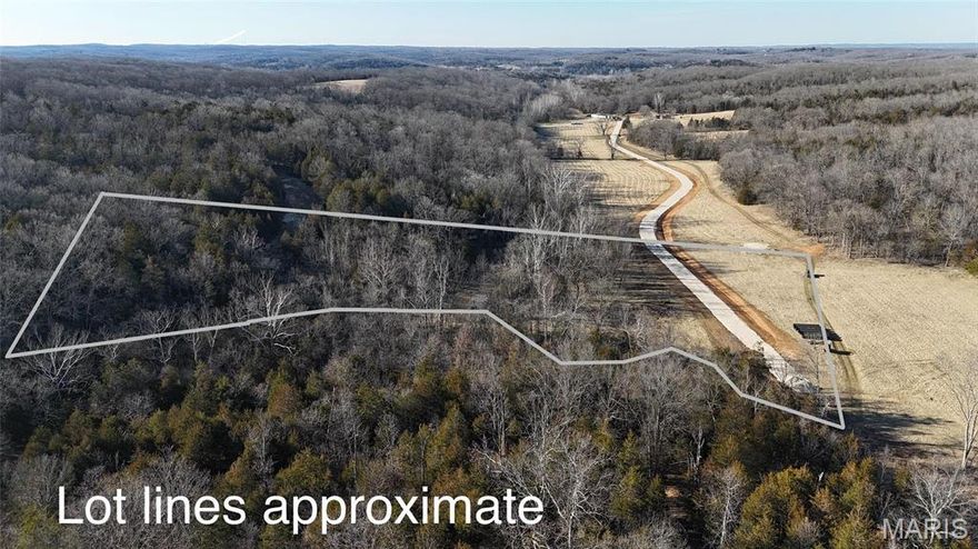 Beautiful lot with a small creek to enjoy. This unique 10.10-acre lot is in the desirable Festus School District and offers a perfect balance of wooded beauty and some open space, making it ideal for outdoor enthusiasts and those looking to build their dream home. The property features a mix of trees and some cleared land. The lot also includes a creek, adding to its natural charm. There is some floodplain area, please check FEMA's flood map. There is a plat available so you can see the lot lines. Whether you're an avid hunter or looking for a tranquil spot to build your home, this property provides the perfect setting. Ameren is set to install the electric. This land is ready for your vision – bring your builder and your plans to create the home you've always dreamed of.