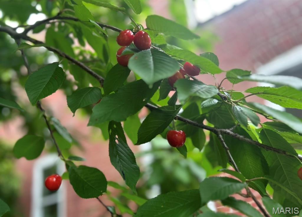 Od Tuckers Sub - Residential