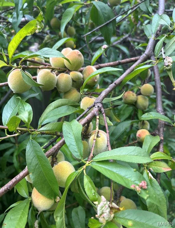 Od Tuckers Sub - Residential