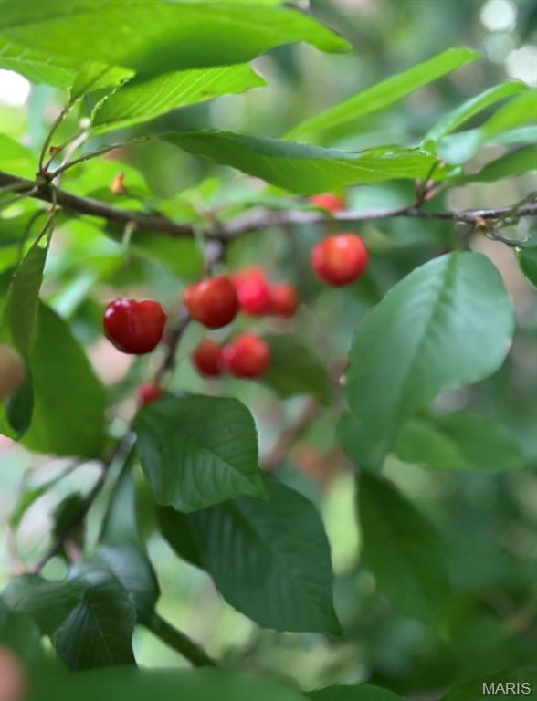 Od Tuckers Sub - Residential