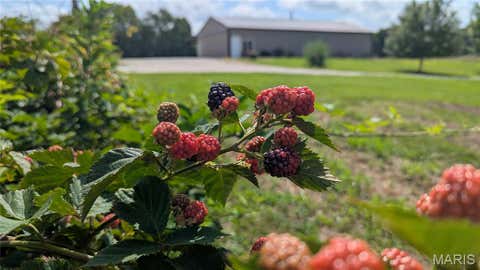 Tiny photo for 22221 Macedonia Church Road, Warrenton, MO 63383 (MLS # 26041384)