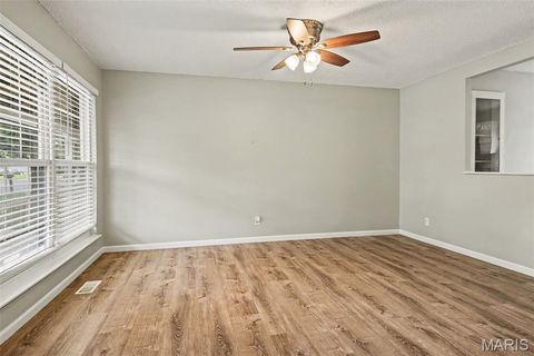 Tiny photo for 11748 Vizcuya Court, Florissant, MO 63033 (MLS # 26046538)