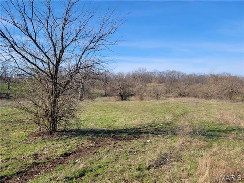 Tiny photo for 0 Highway RA (17.24 Ac-Tract 2), Silex, MO 63377 (MLS # 25068007)