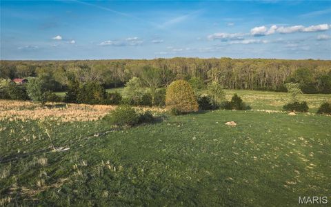 Tiny photo for 17665 Highway 19, Steelville, MO 65565 (MLS # 26023042)