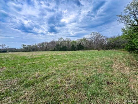 Tiny photo for 17665 Highway 19, Steelville, MO 65565 (MLS # 26023042)