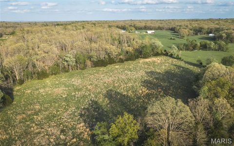 Tiny photo for 17665 Highway 19, Steelville, MO 65565 (MLS # 26023042)