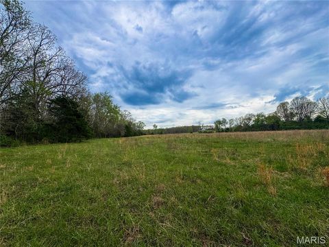 Tiny photo for 17665 Highway 19, Steelville, MO 65565 (MLS # 26023042)