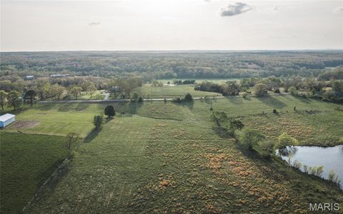 Tiny photo for 17665 Highway 19, Steelville, MO 65565 (MLS # 26023042)