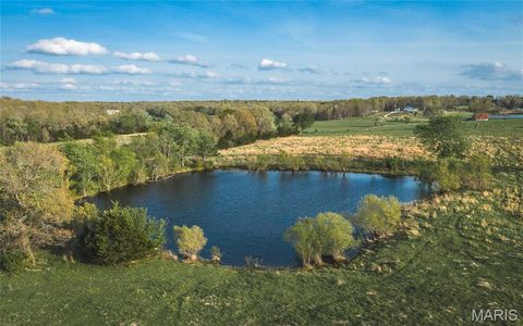 Tiny photo for 17665 Highway 19, Steelville, MO 65565 (MLS # 26023042)