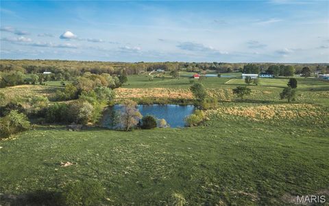 Tiny photo for 17665 Highway 19, Steelville, MO 65565 (MLS # 26023042)