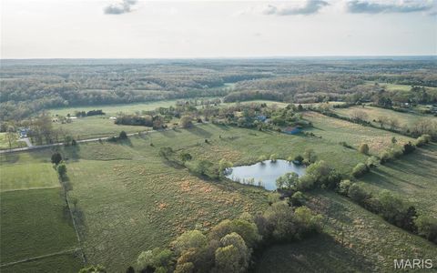 Tiny photo for 17665 Highway 19, Steelville, MO 65565 (MLS # 26023042)