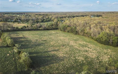 Tiny photo for 17665 Highway 19, Steelville, MO 65565 (MLS # 26023042)