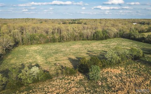 Tiny photo for 17665 Highway 19, Steelville, MO 65565 (MLS # 26023042)