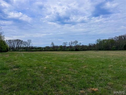 Tiny photo for 17665 Highway 19, Steelville, MO 65565 (MLS # 26023042)