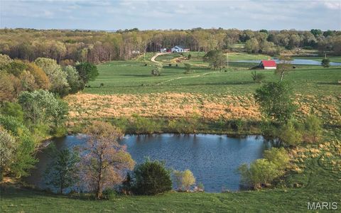 Tiny photo for 17665 Highway 19, Steelville, MO 65565 (MLS # 26023042)