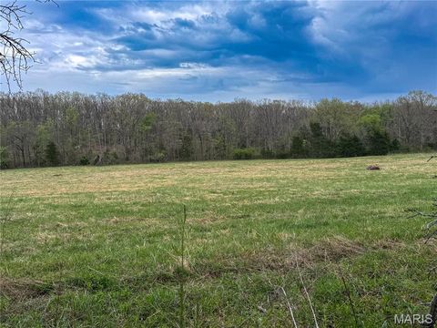Tiny photo for 17665 Highway 19, Steelville, MO 65565 (MLS # 26023042)