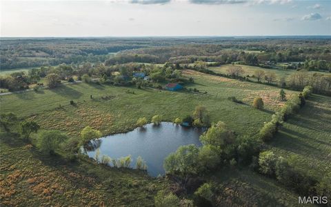Tiny photo for 17665 Highway 19, Steelville, MO 65565 (MLS # 26023042)