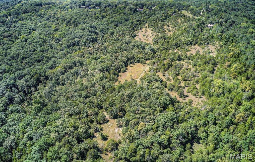 43 acres +/- Ridge Rd