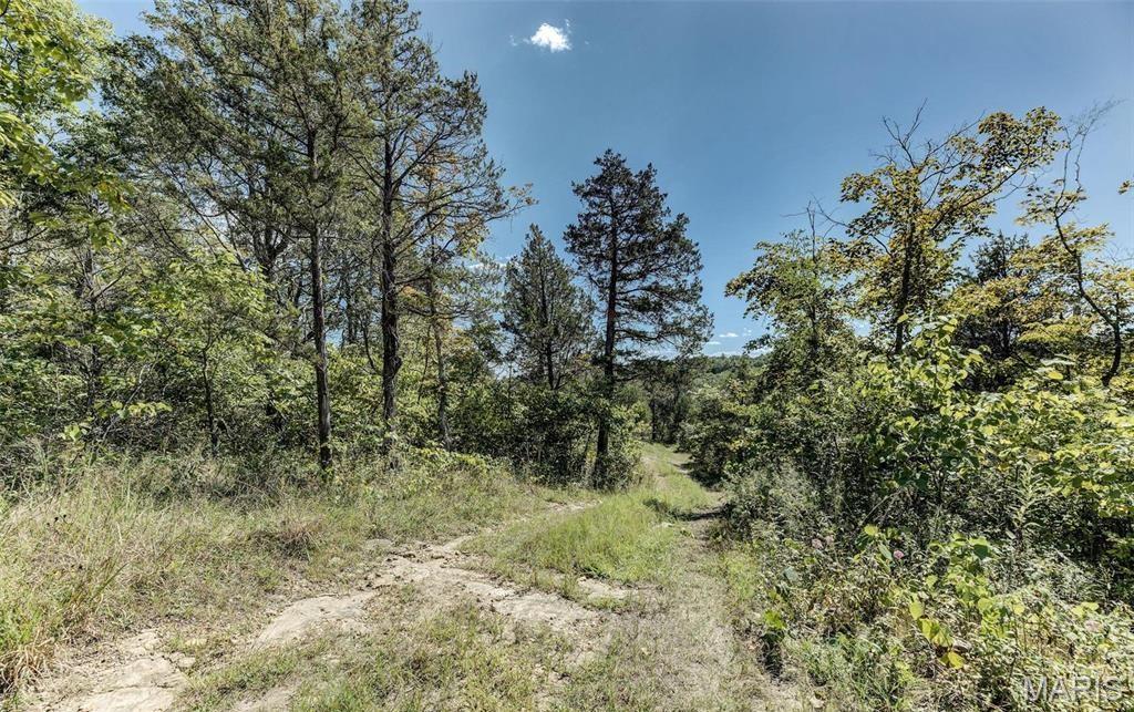 43 acres +/- Ridge Rd