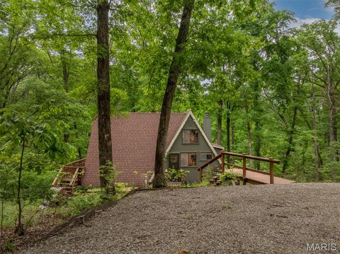 Photo of 374 W Wanderfern Circle Drive, Innsbrook, MO 63390 (MLS # 26032303)