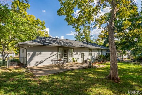 Tiny photo for 725 Brookridge Drive, Webster Groves, MO 63119 (MLS # 25067229)