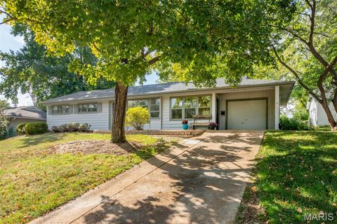 Tiny photo for 725 Brookridge Drive, Webster Groves, MO 63119 (MLS # 25067229)