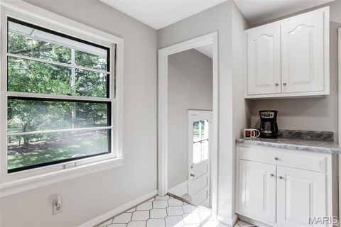 Tiny photo for 725 Brookridge Drive, Webster Groves, MO 63119 (MLS # 25067229)