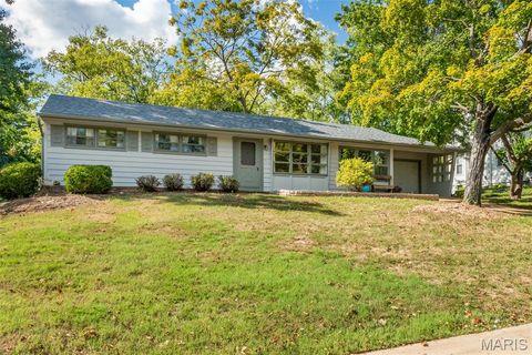 Photo of 725 Brookridge Drive, Webster Groves, MO 63119 (MLS # 25067229)