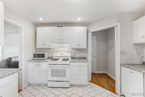 Tiny photo for 725 Brookridge Drive, Webster Groves, MO 63119 (MLS # 25067229)