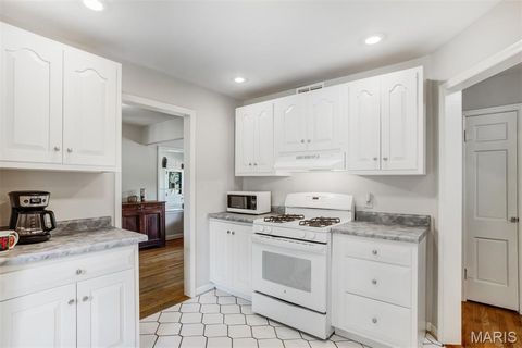 Tiny photo for 725 Brookridge Drive, Webster Groves, MO 63119 (MLS # 25067229)