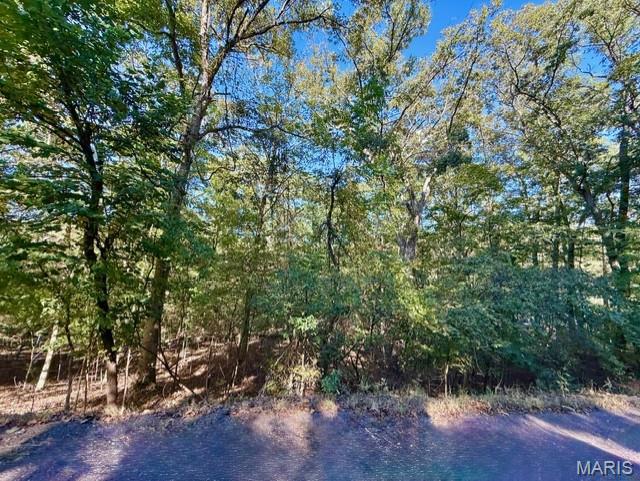 Lake Sherwood Estates - Land