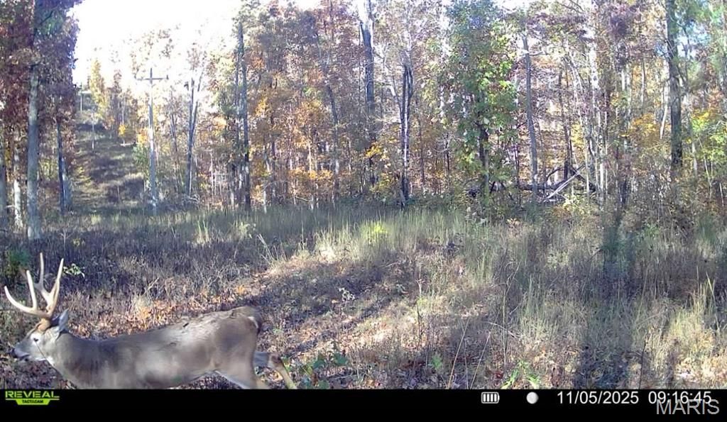 Photo of 0 Missouri 34, Glen Allen, MO 63751 (MLS # 25080133)