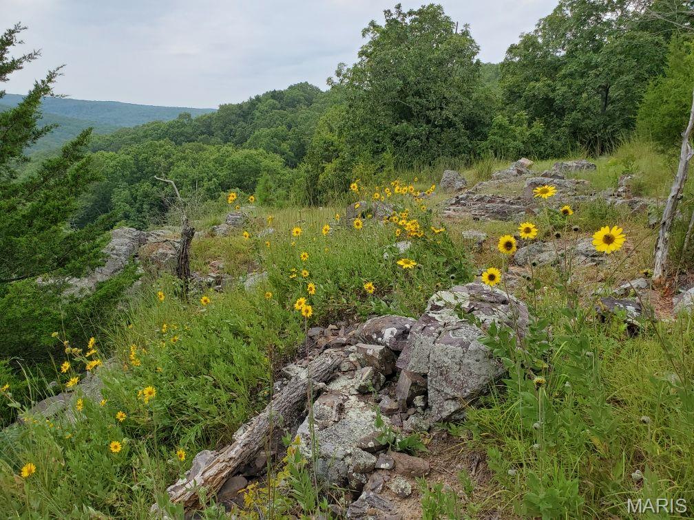 Murdock Crumb Sub - Land