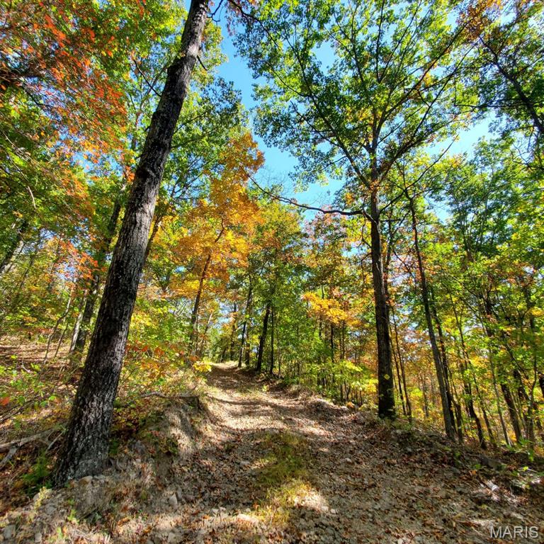 Murdock Crumb Sub - Land