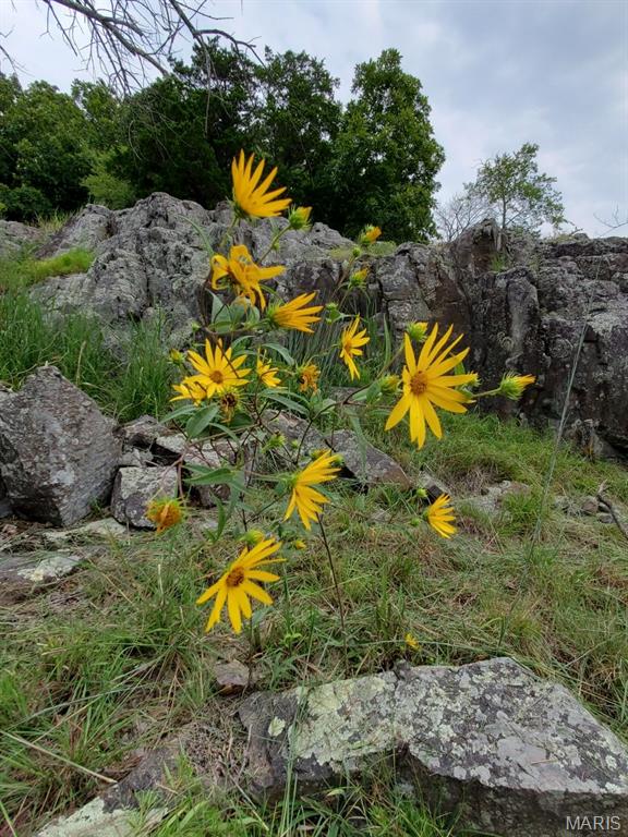 Murdock Crumb Sub - Land
