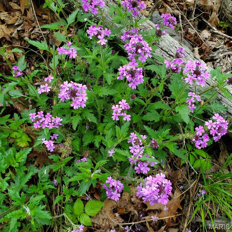 Murdock Crumb Sub - Land