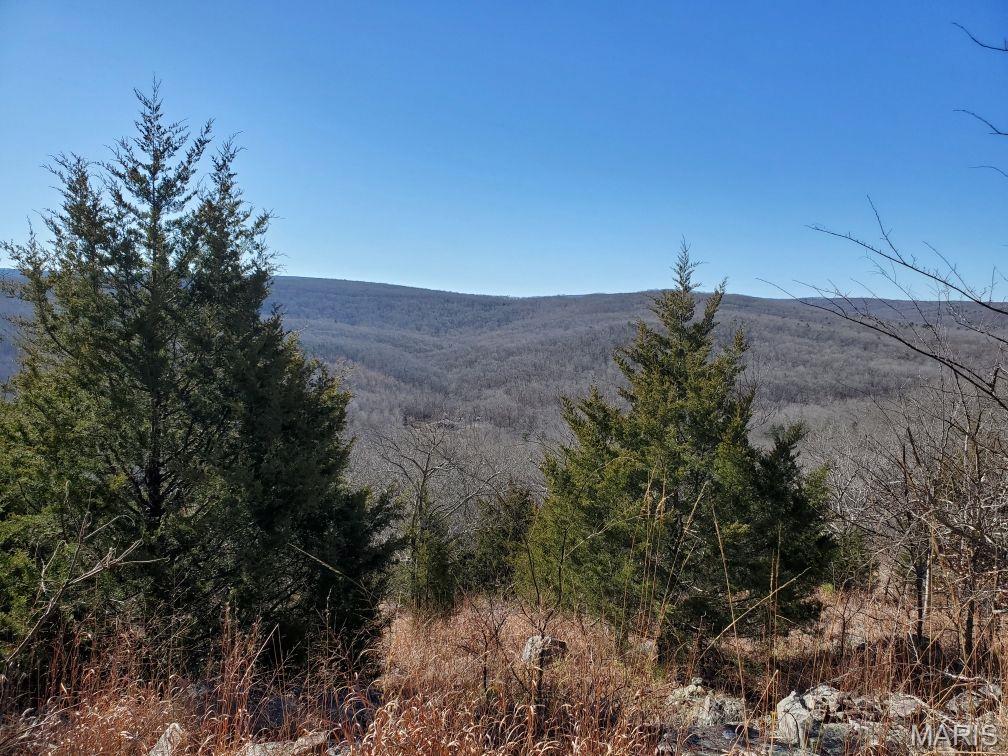 Murdock Crumb Sub - Land