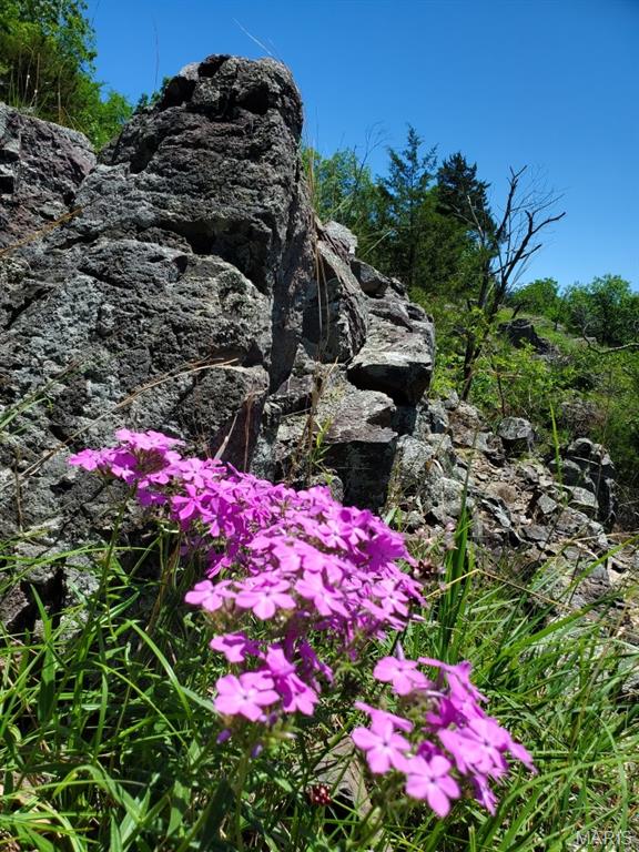 Murdock Crumb Sub - Land