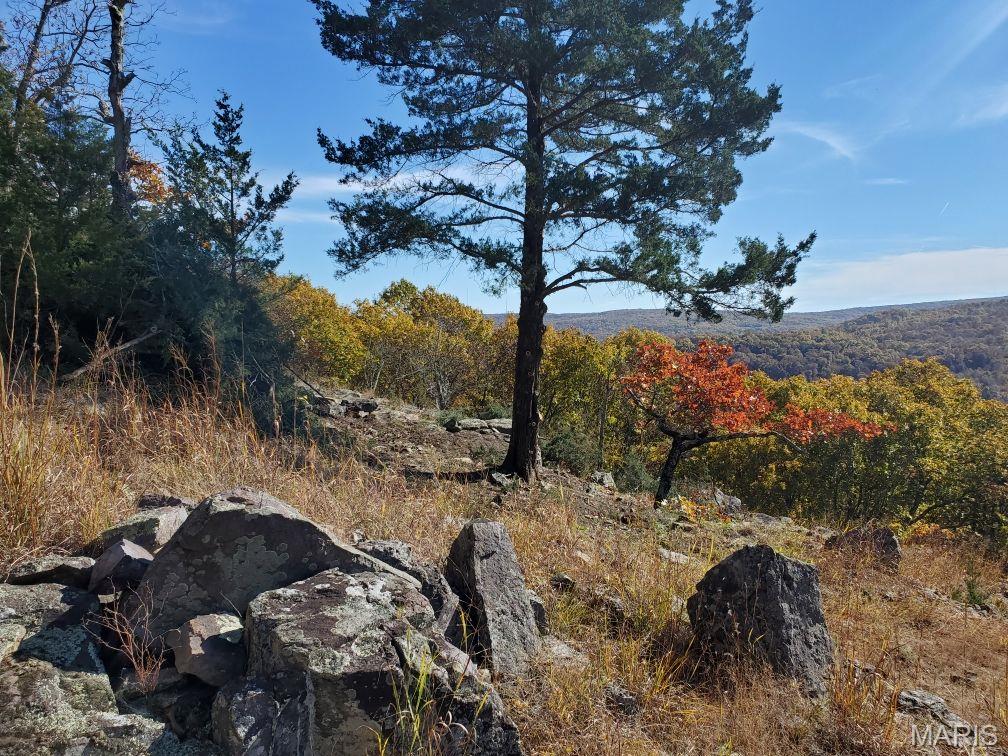 Murdock Crumb Sub - Land