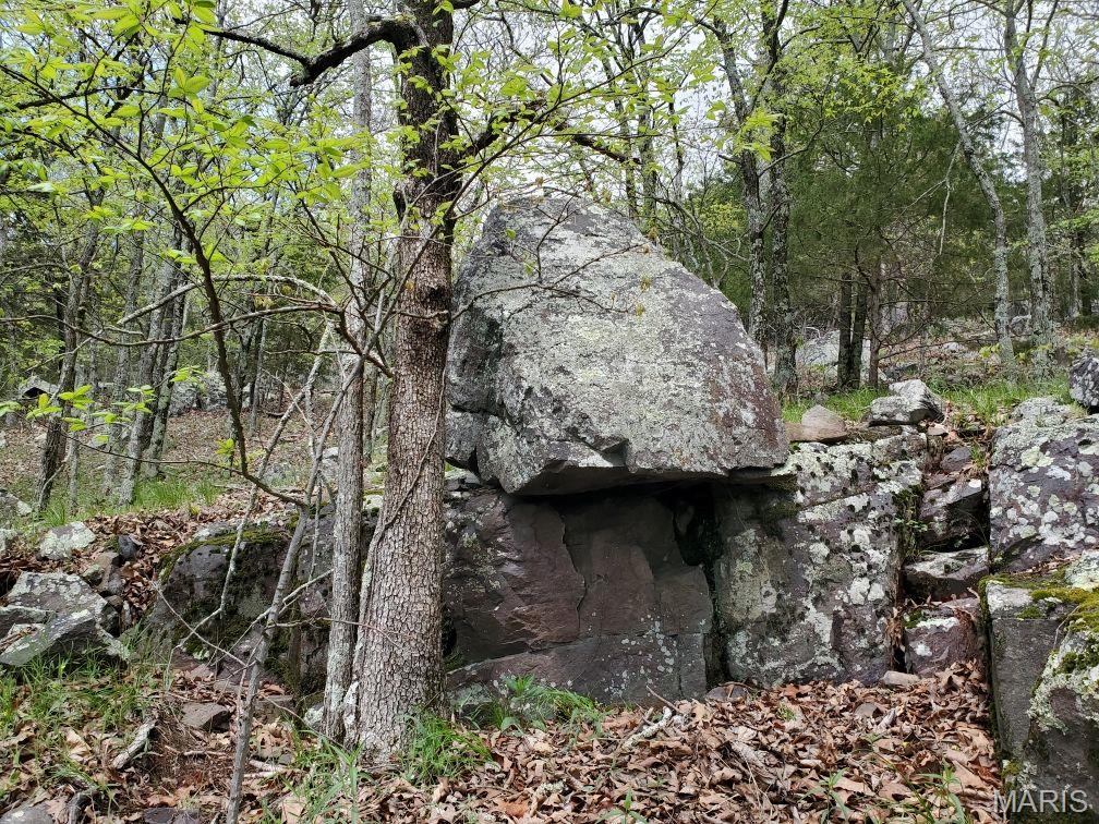 Murdock Crumb Sub - Land