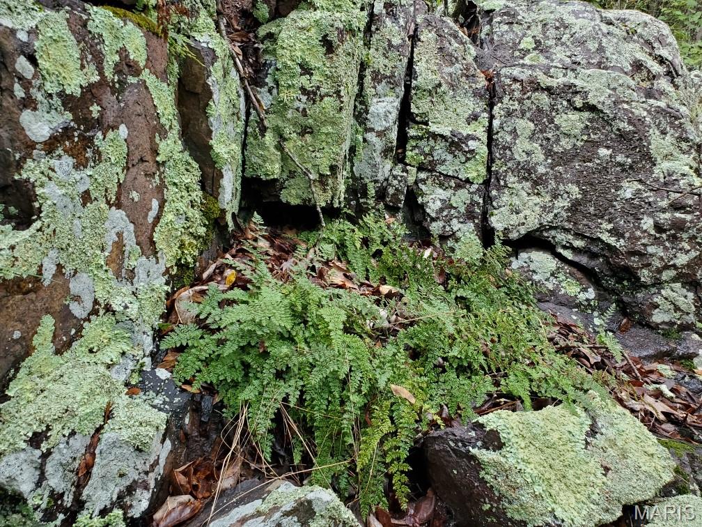 Murdock Crumb Sub - Land