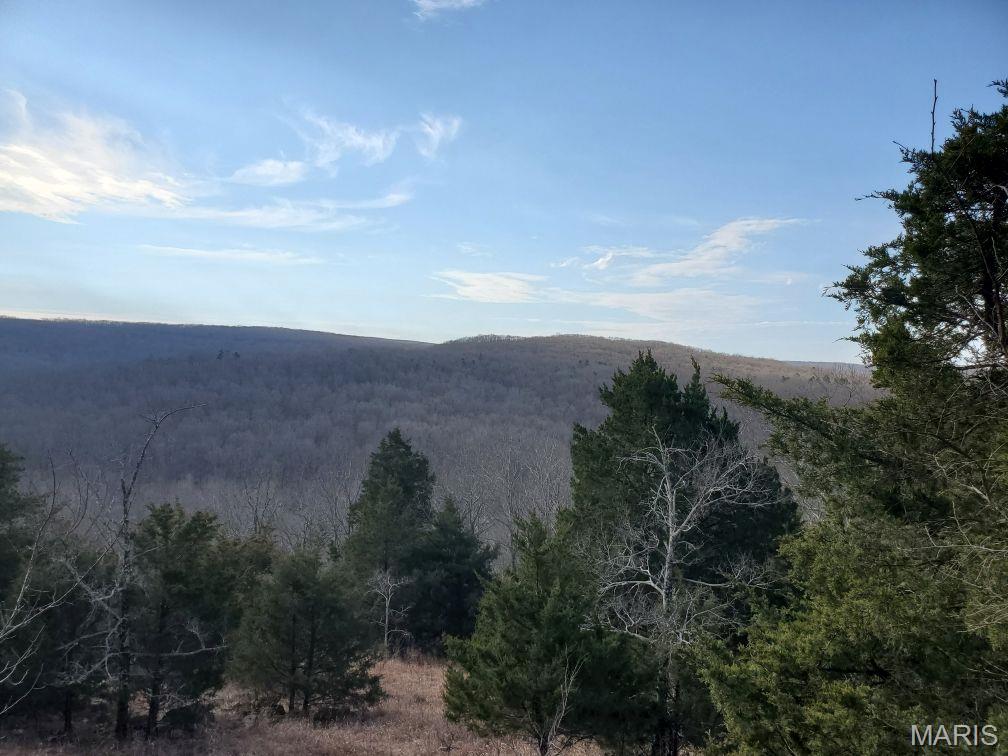 Murdock Crumb Sub - Land