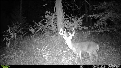 Tiny photo for TBD 00 County Road 274 #115, Chamois, MO 65024 (MLS # 26030207)