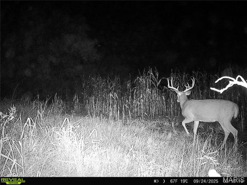Tiny photo for TBD 00 County Road 274 #115, Chamois, MO 65024 (MLS # 26030207)
